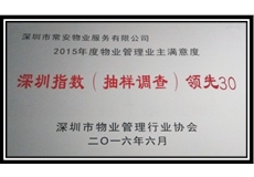 深圳指數(shù)（抽樣調(diào)查）領先30